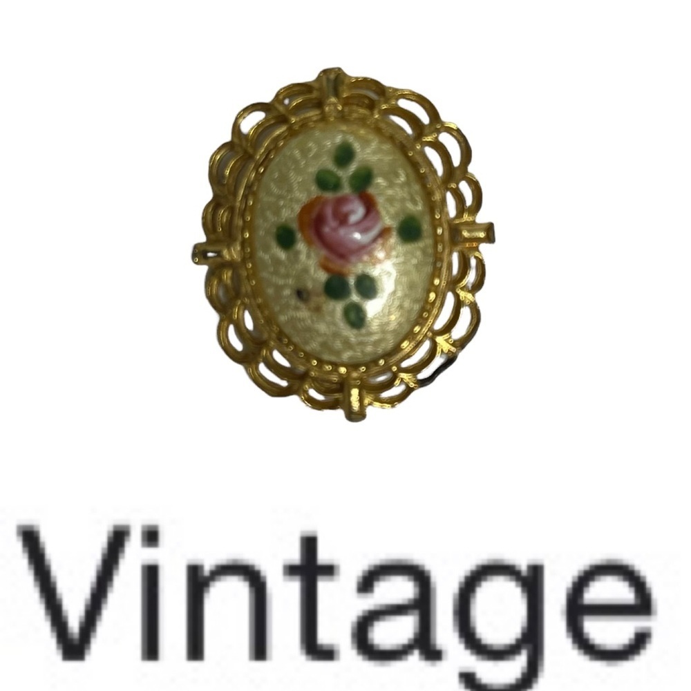 Vintage Oval Cloissone Brooch